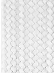 White White