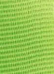 Light Green Light Green