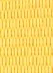 Yellow Yellow