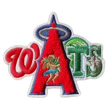 Chenille & Detailed Embroidery Chenille & Detailed Embroidery